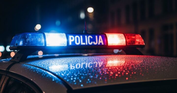 policjanci-nie-zwalniaj---tempa--trzech-poszukiwan-auto-6907